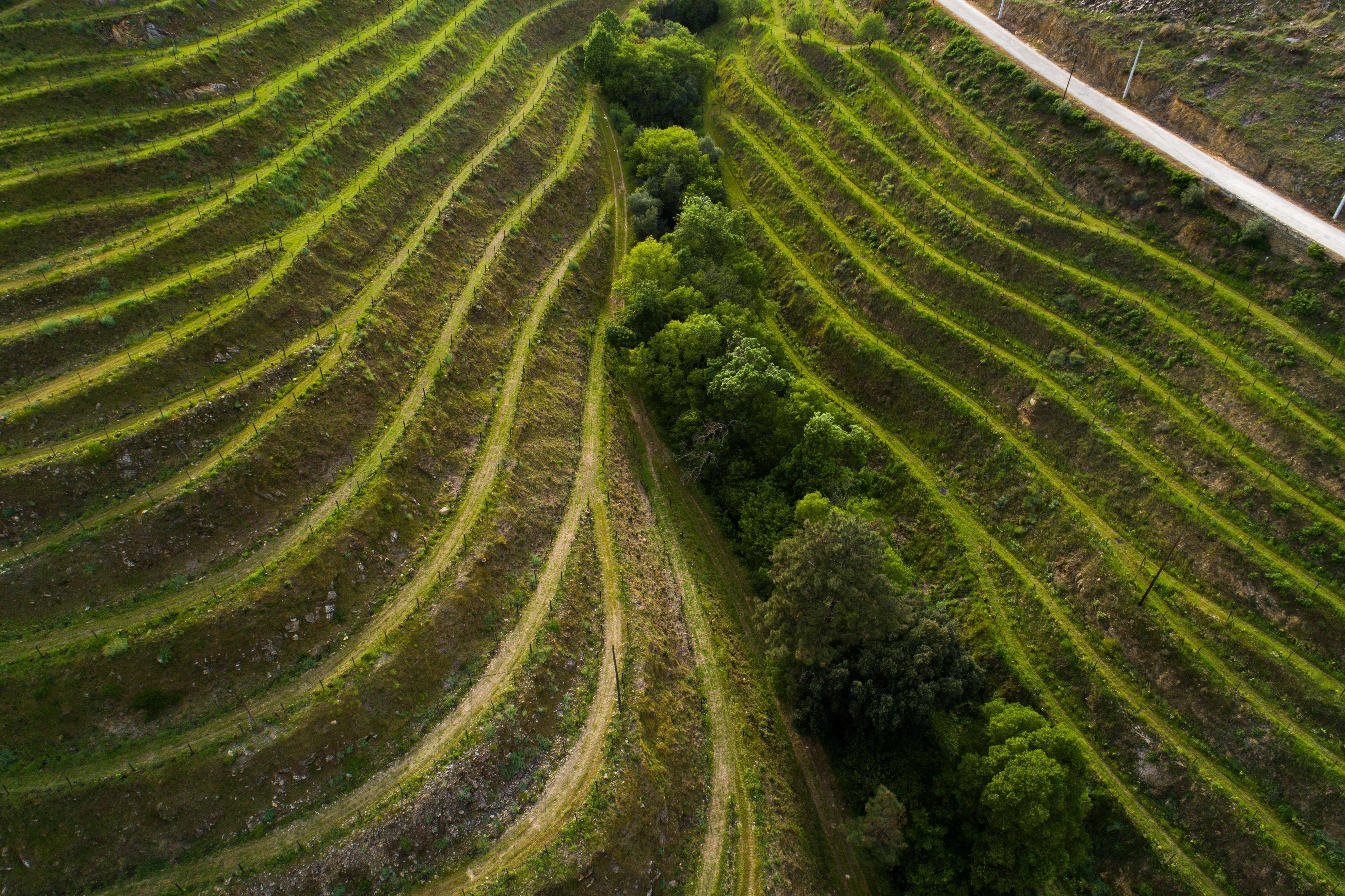 Vila Gale Douro Vineyards Armamar Zewnętrze zdjęcie