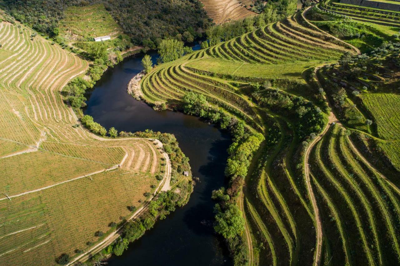 Vila Gale Douro Vineyards Armamar Zewnętrze zdjęcie